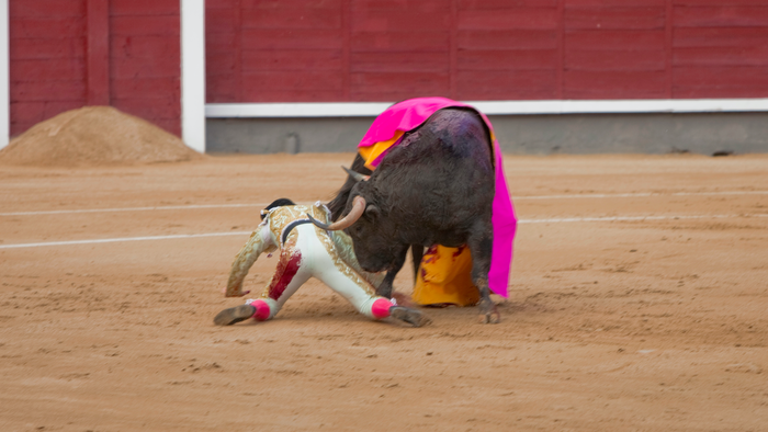 Matador being attacked by a bull in a bullring