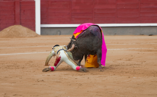 Matador being attacked by a bull in a bullring