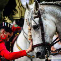 Woman dressed in a traditional flamenco dressed dances with a Spanish horse