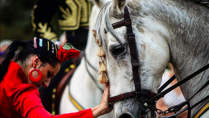Woman dressed in a traditional flamenco dressed dances with a Spanish horse