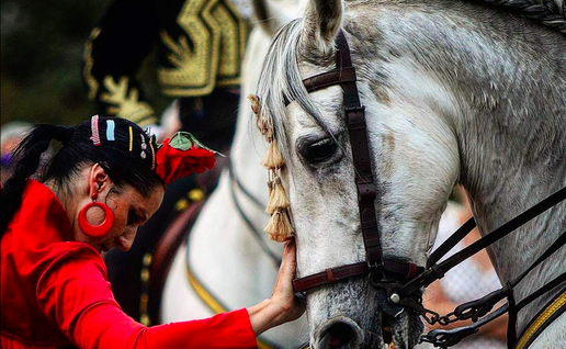 Woman dressed in a traditional flamenco dressed dances with a Spanish horse