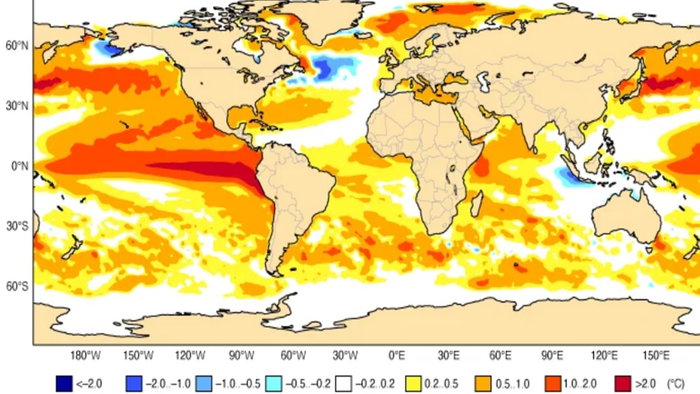 Global map showing ocean temperature anomalies linked to El Niño