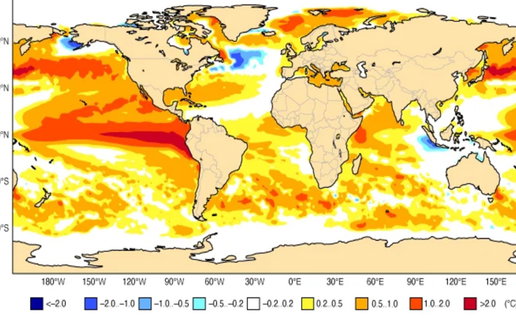 Global map showing ocean temperature anomalies linked to El Niño