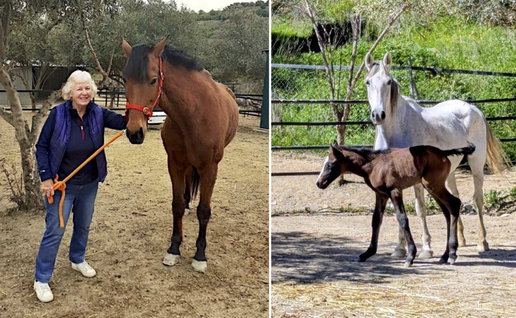 Jill Newman-Rogers, president and founder of ARCH.