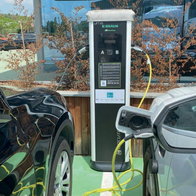 Electric cars charging at a public station in Spain as demand for affordable EVs rises