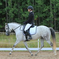 A dressage player.