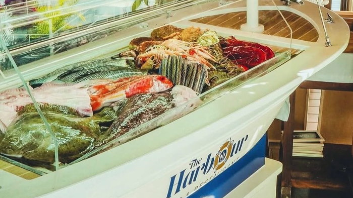 The Harbour hosts Afesol charity lunch