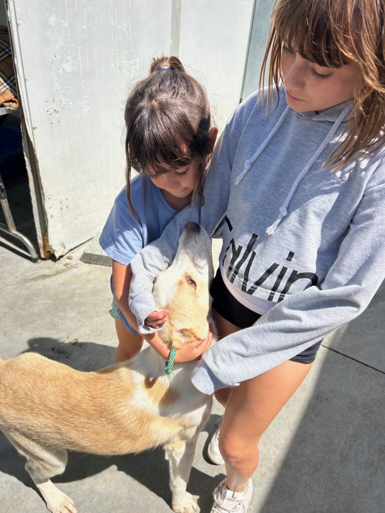 The kids are welcome to volunteer with adults