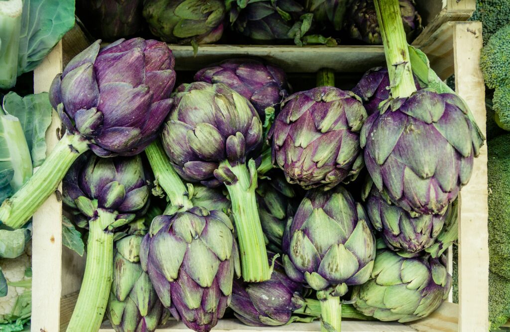 Dolores celebrates 8th Artichoke Season End Festival in Vega Baja
