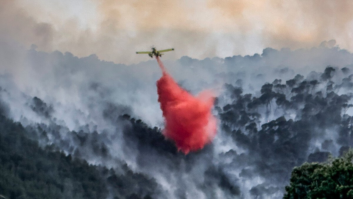 Fire Extinguished After Intense Effort Near Alicante Inland Area