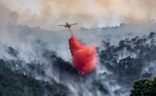 Firefighters working to extinguish forest fire in Tibi Alicante woodland area