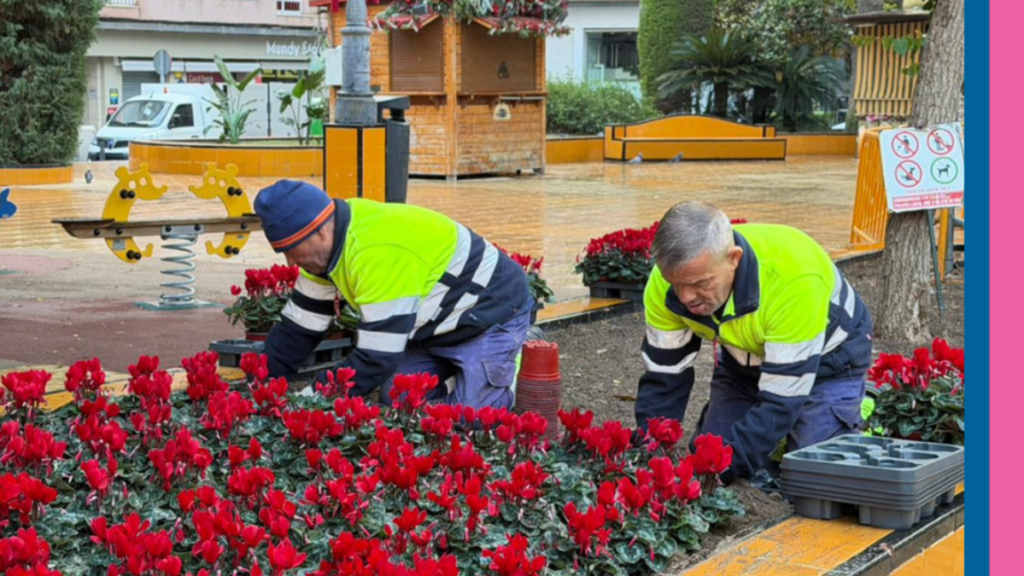 Torrevieja bursts into colour as citywide planting takes full bloom