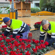 Colourful flower beds brighten streets and public spaces in Torrevieja