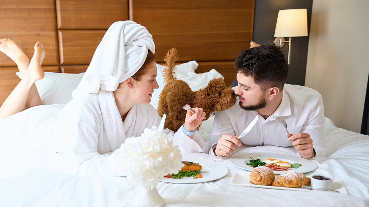 Pet-friendly Filters Overtake Swimming Pools: The New #1 Priority For Travelers In Spain