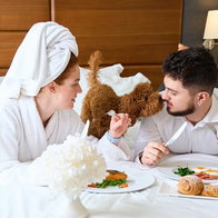 Dog in a hotel room in Spain as pet-friendly travel demand rises