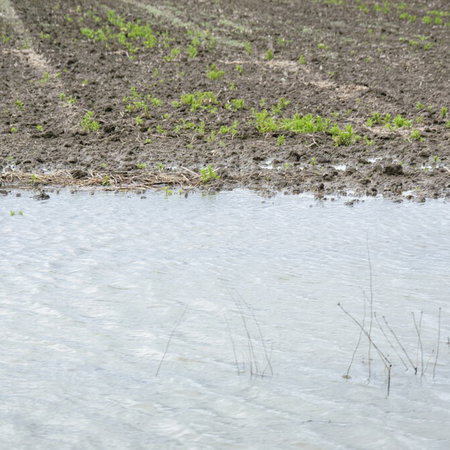 Driving fines in Spain