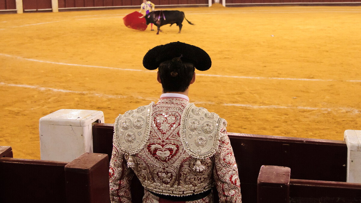 Retired Matador Killed By Bull In Malaga: What Happened At La Malagueta Last Night
