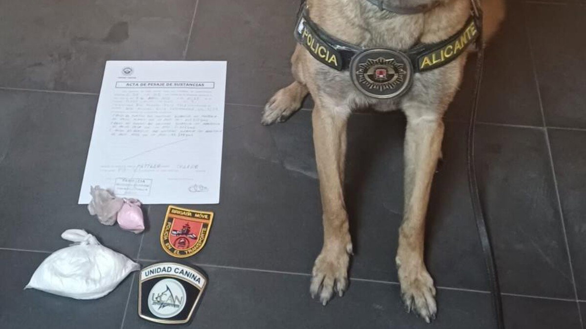 Alicante Police Dogs Catch Drug Couriers On Intercity Buses