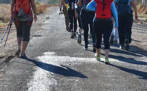 Warrior Women's Walk.