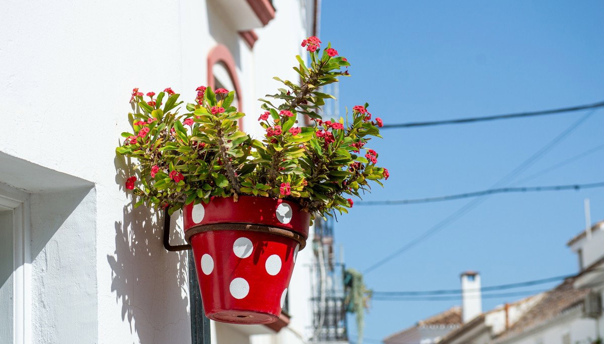 Estepona’s Foreign Residents Day Returns To Celebrate Multicultural Spirit