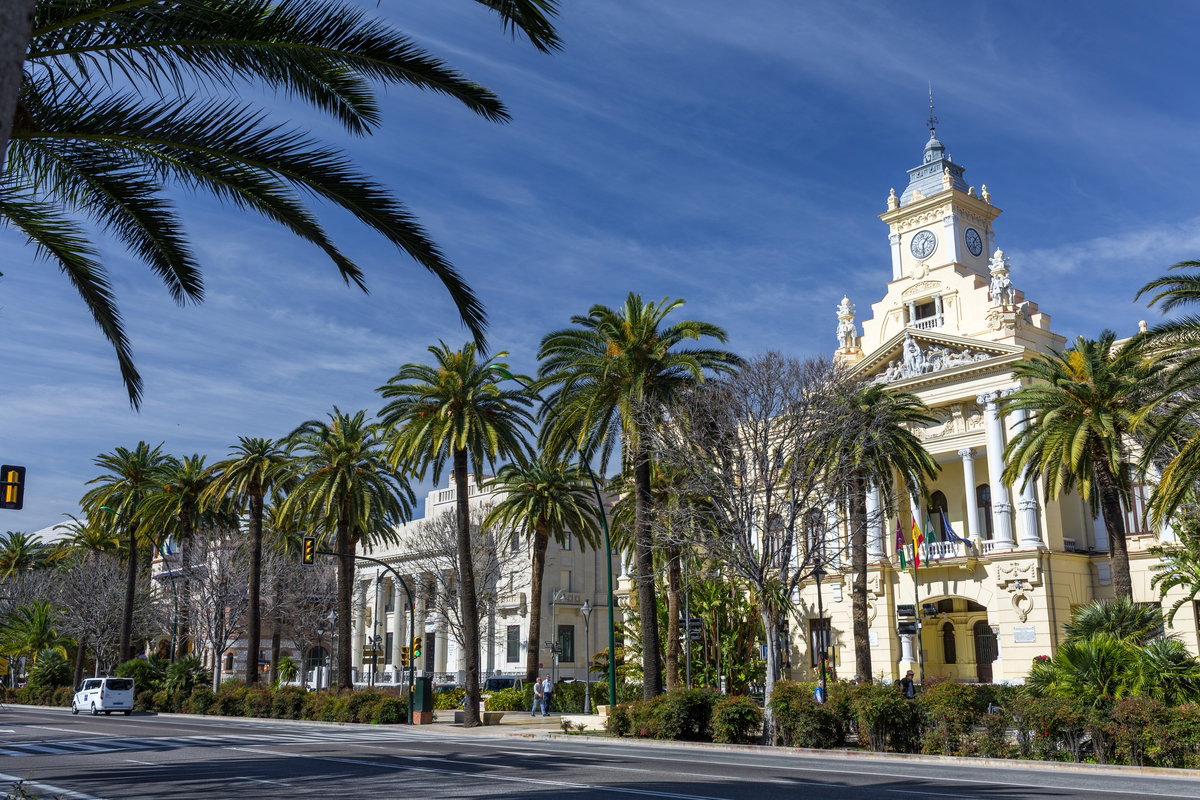 Red Palm Weevil Plague Devastates Malaga’s Historic Palms – Look Out For These Symptoms Now