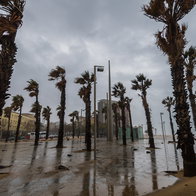 Strong winds bending palm trees during stormy weather in Spain