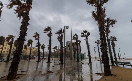 Strong winds bending palm trees during stormy weather in Spain