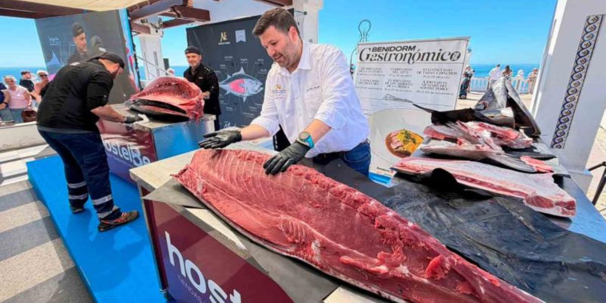 Benidorm’s Iconic Tuna Festival Returns – Here’s Why Everyone’s Talking About It