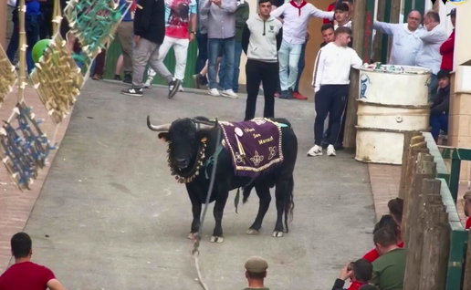 The San Marcos celebrations