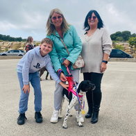 winning dog poses at AA Dog rescue charity dog show