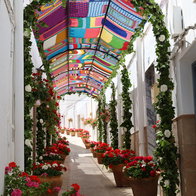 Flowers in full bloom line the streets of Lucainena de las Torres for "Day of Flowers" festival