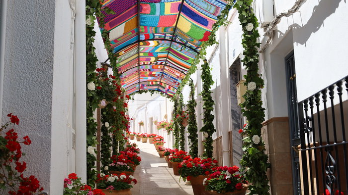 Flowers in full bloom line the streets of Lucainena de las Torres for "Day of Flowers" festival