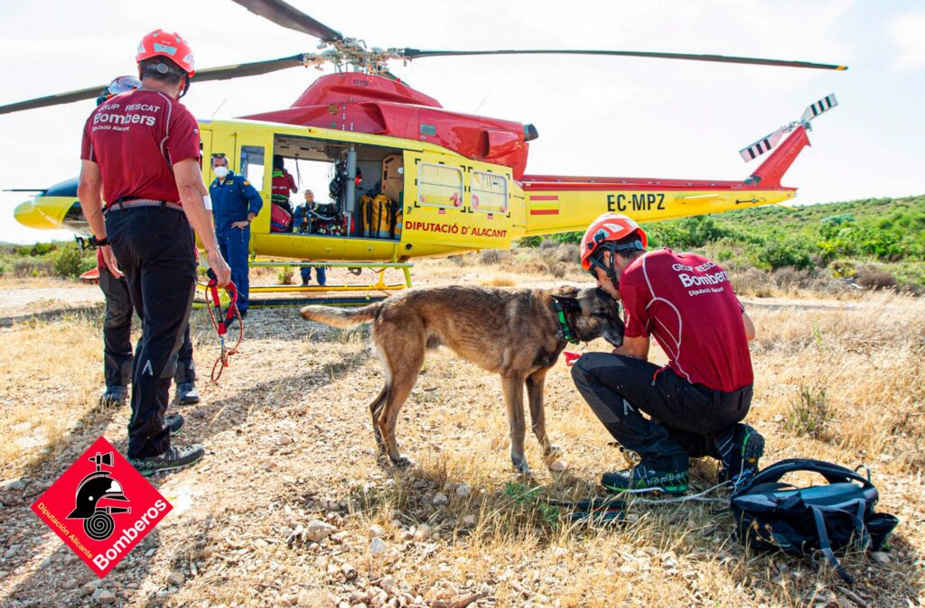 Alicante’s firefighter dog Titan remembered after life of heroic rescues