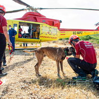 The dog with first responders.