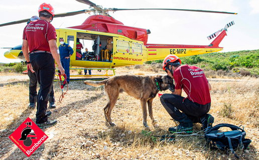 The dog with first responders.