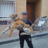 A man currying a tiger plush toy