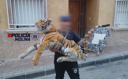 A man currying a tiger plush toy