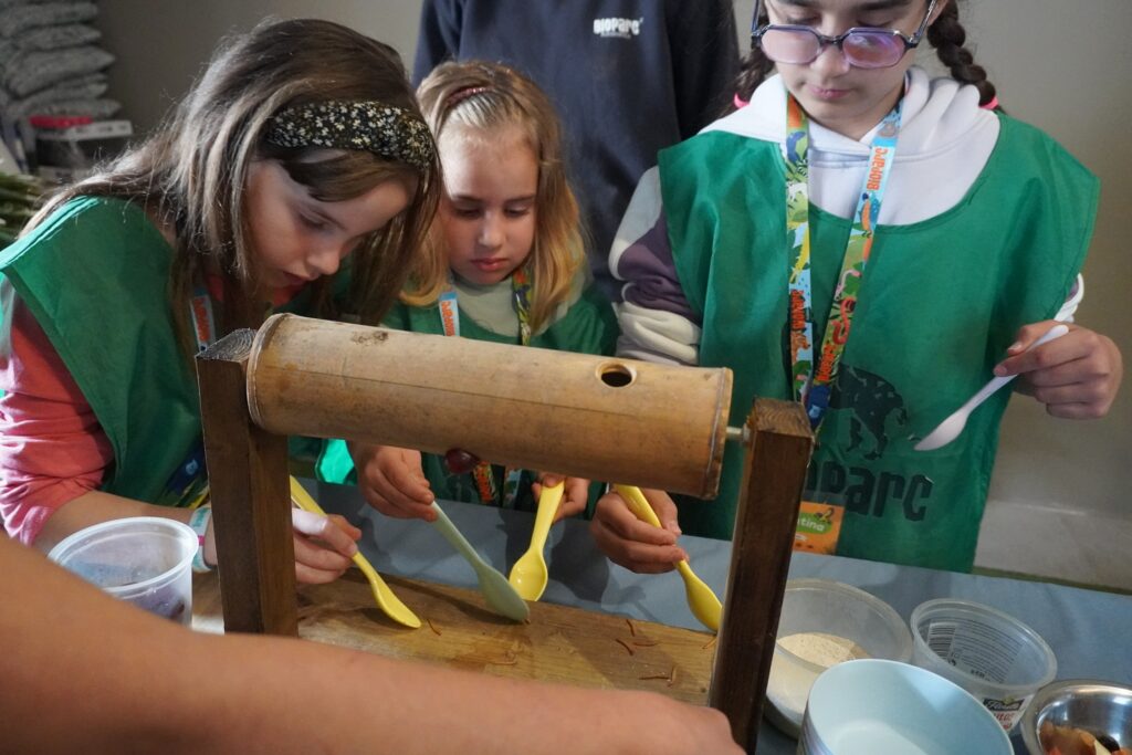 Bioparc Fuengirola June summer camps.