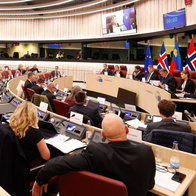 EEA meeting in Brussels.