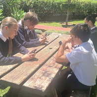 Students at the EIC engrossed in phones