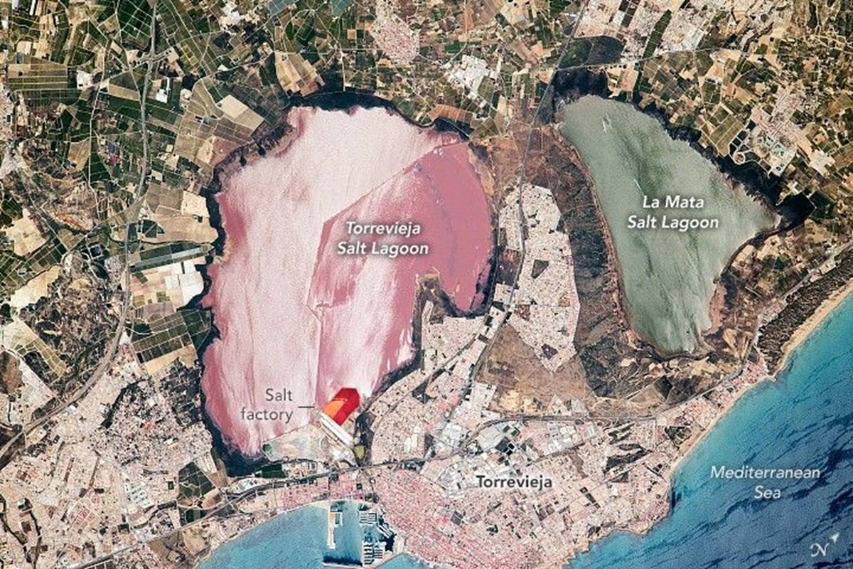 A giant pink lake in Spain is so bright NASA spotted it from space