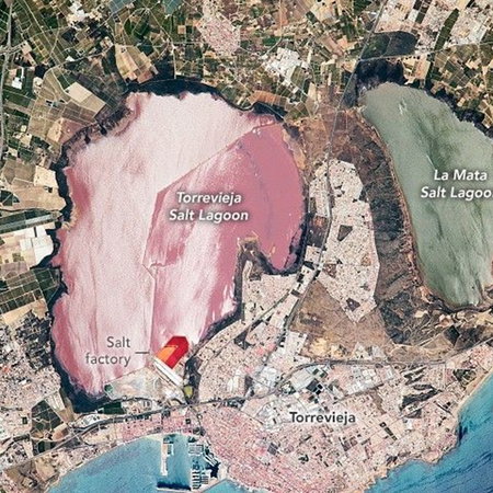 Satellite view of the pink salt lagoon of Torrevieja in Alicante beside the green La Mata lagoon and the Mediterranean coast in Spain.