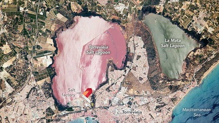 Satellite view of the pink salt lagoon of Torrevieja in Alicante beside the green La Mata lagoon and the Mediterranean coast in Spain.