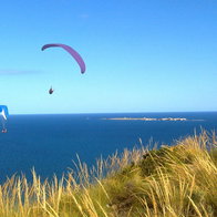 Paragliders.