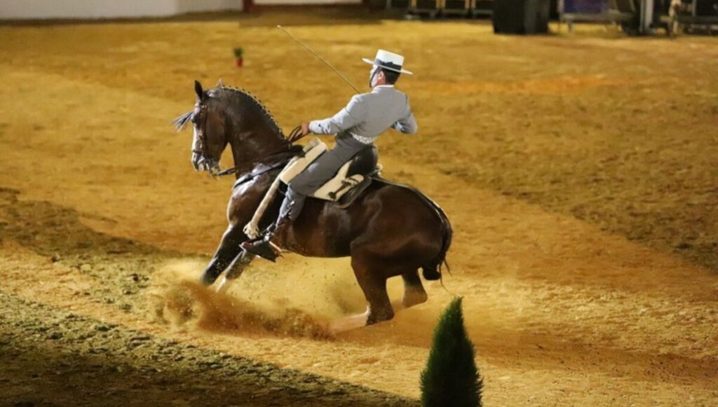 Fuengirola’s magnificent horse show is a must-see spectacle with fantasy and fire