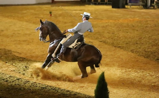 Grand Show Equestrian Arts Plaza de Toros