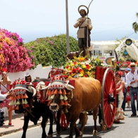Romeria de San Isidro Nerja procession