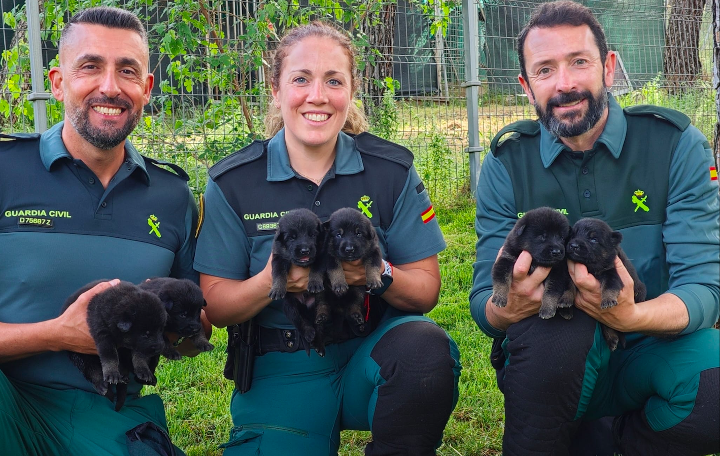 Guardia Civil Seeks Families In Spain To Foster Future Police Dogs