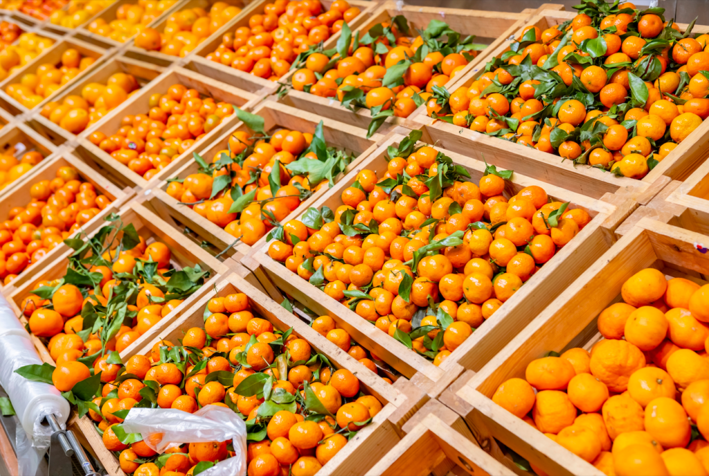 EU flags 168 rise in banned substances found in Egyptian mandarins as imports surge Imports of mandarins from Egypt into the European Union have increased significantly, alongside a sharp rise in the number of […]