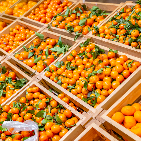 Mandarins in crates on supermarket shelf